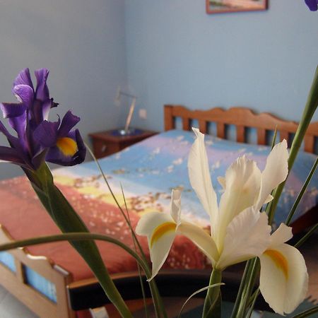 Djurovic Apartments Montenegro Kotor Kültér fotó
